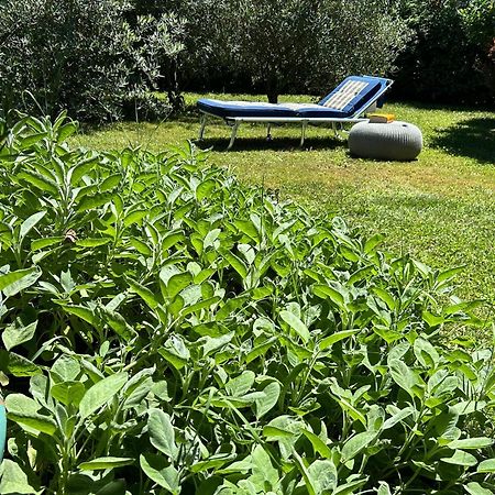 Golden Hill - Big Rooms With Kitchen And Garden Collina d'Oro Buitenkant foto