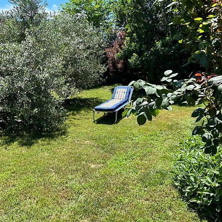 Golden Hill - Big Rooms With Kitchen And Garden Collina d'Oro Buitenkant foto
