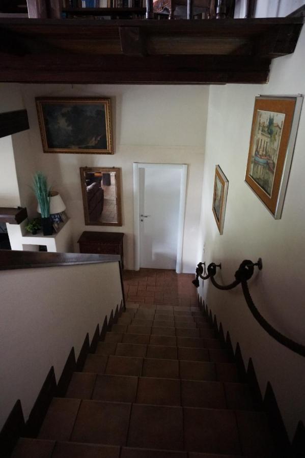 Golden Hill - Big Rooms With Kitchen And Garden Collina d'Oro Buitenkant foto