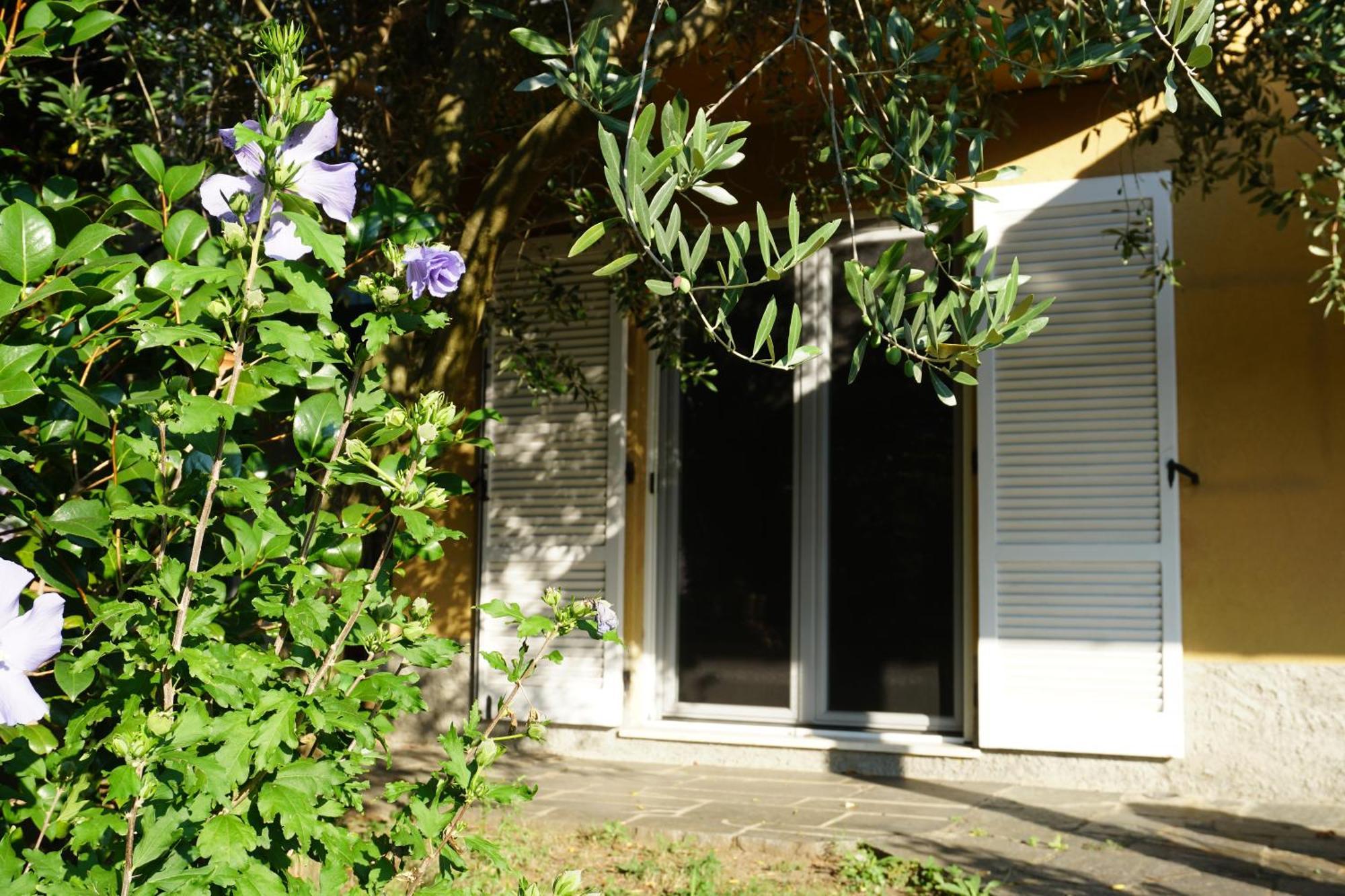 Golden Hill - Big Rooms With Kitchen And Garden Collina d'Oro Buitenkant foto