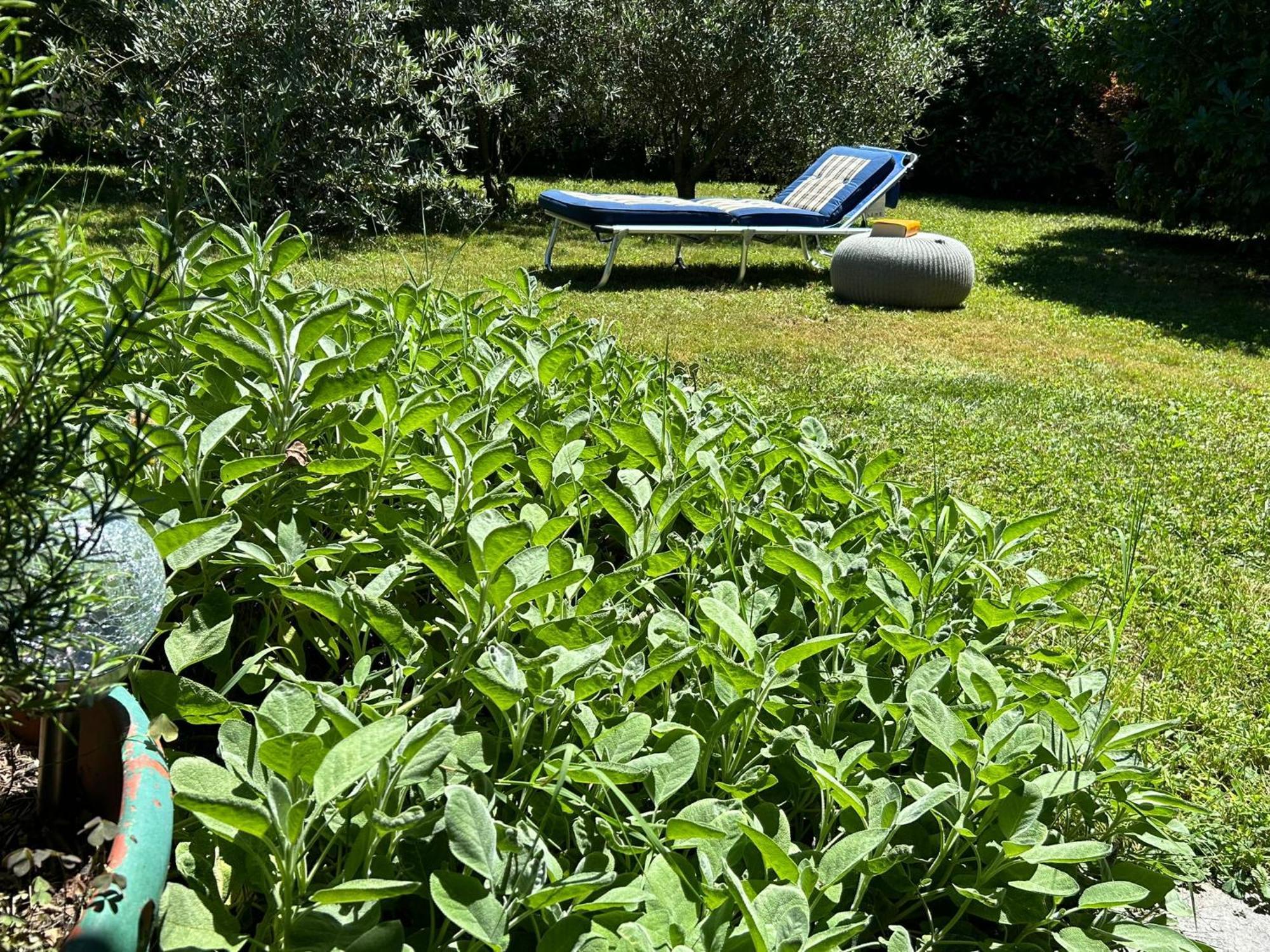 Golden Hill - Big Rooms With Kitchen And Garden Collina d'Oro Buitenkant foto